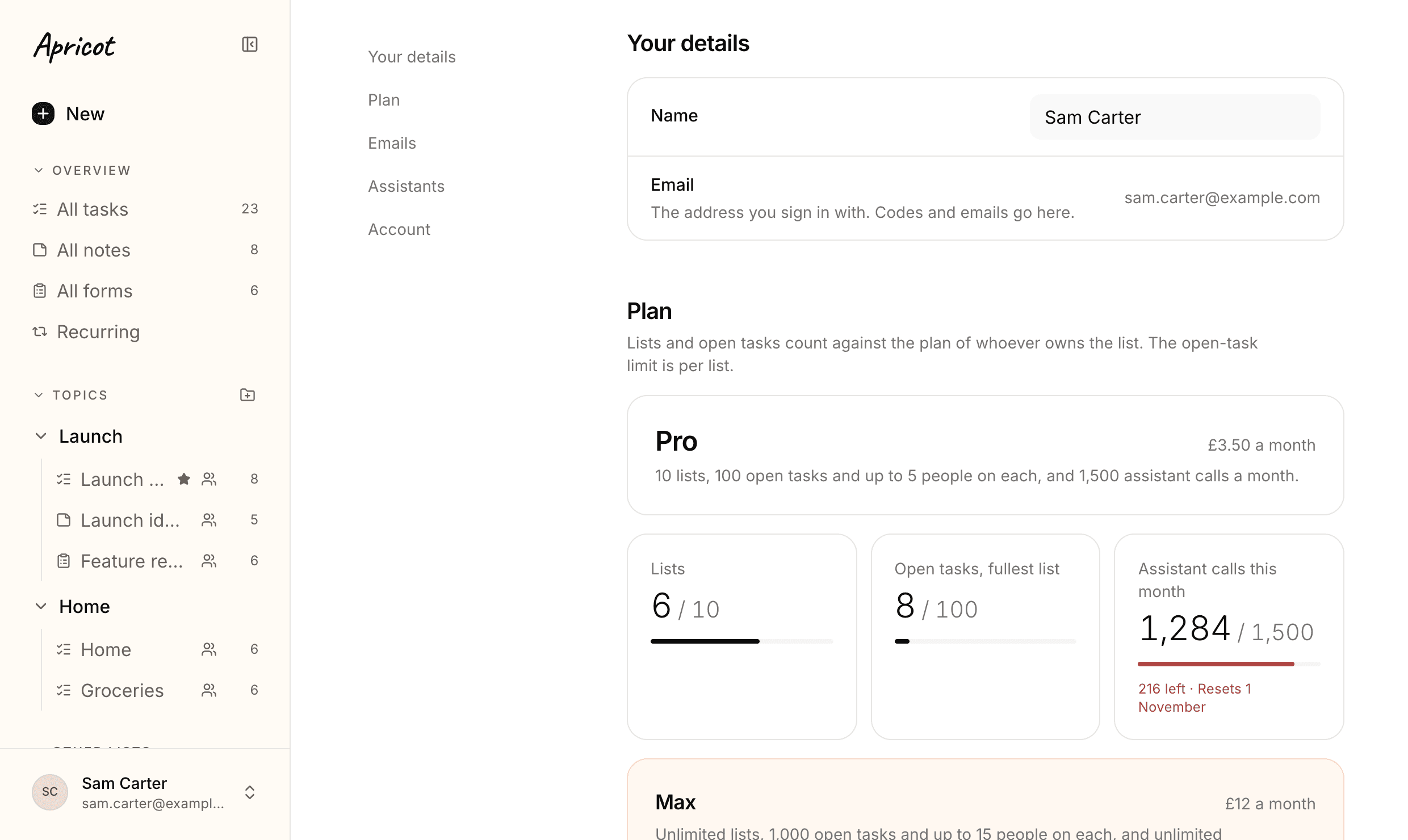 The profile page: a list of its parts down the left - Your details, Plan, Emails, Assistants, Account - beside cards for your name and email, the Pro plan, and tiles for lists, open tasks and assistant calls this month, each with a bar.